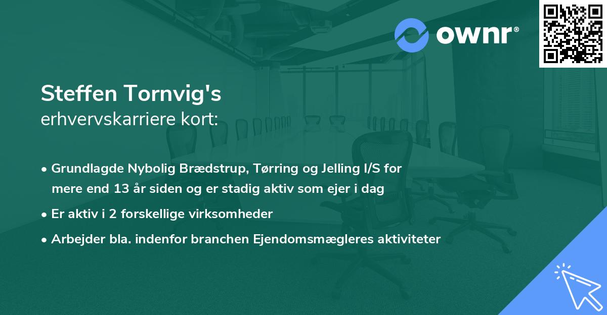 Steffen Tornvig's erhvervskarriere kort