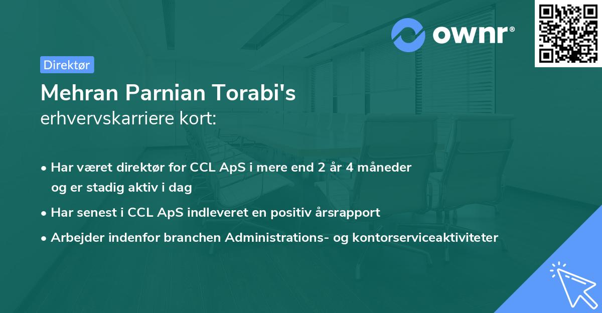 Mehran Parnian Torabi's erhvervskarriere kort