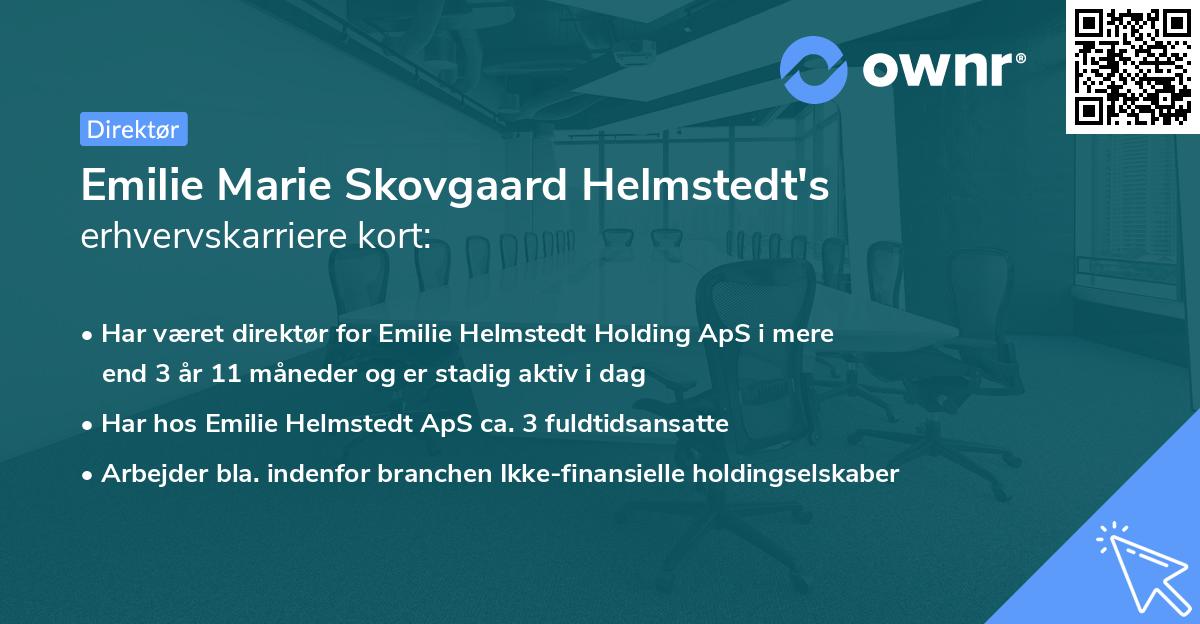 Emilie Marie Skovgaard Helmstedt's erhvervskarriere kort