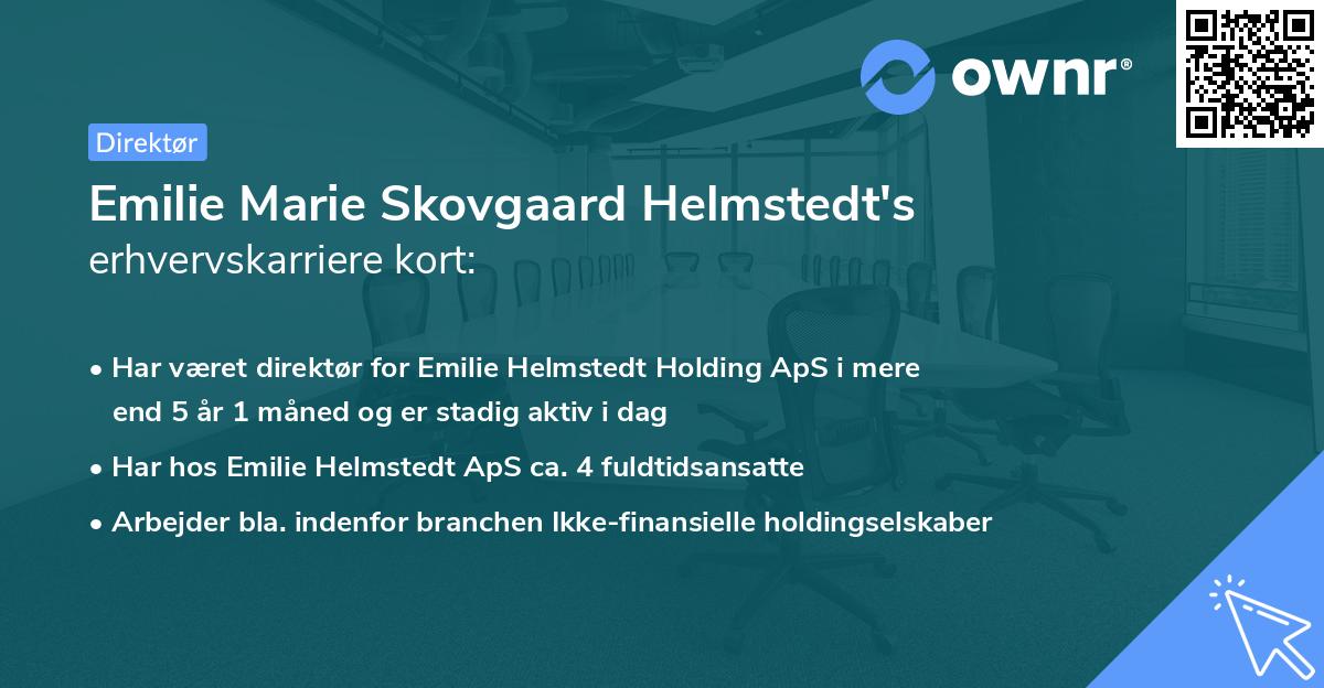 Emilie Marie Skovgaard Helmstedt's erhvervskarriere kort