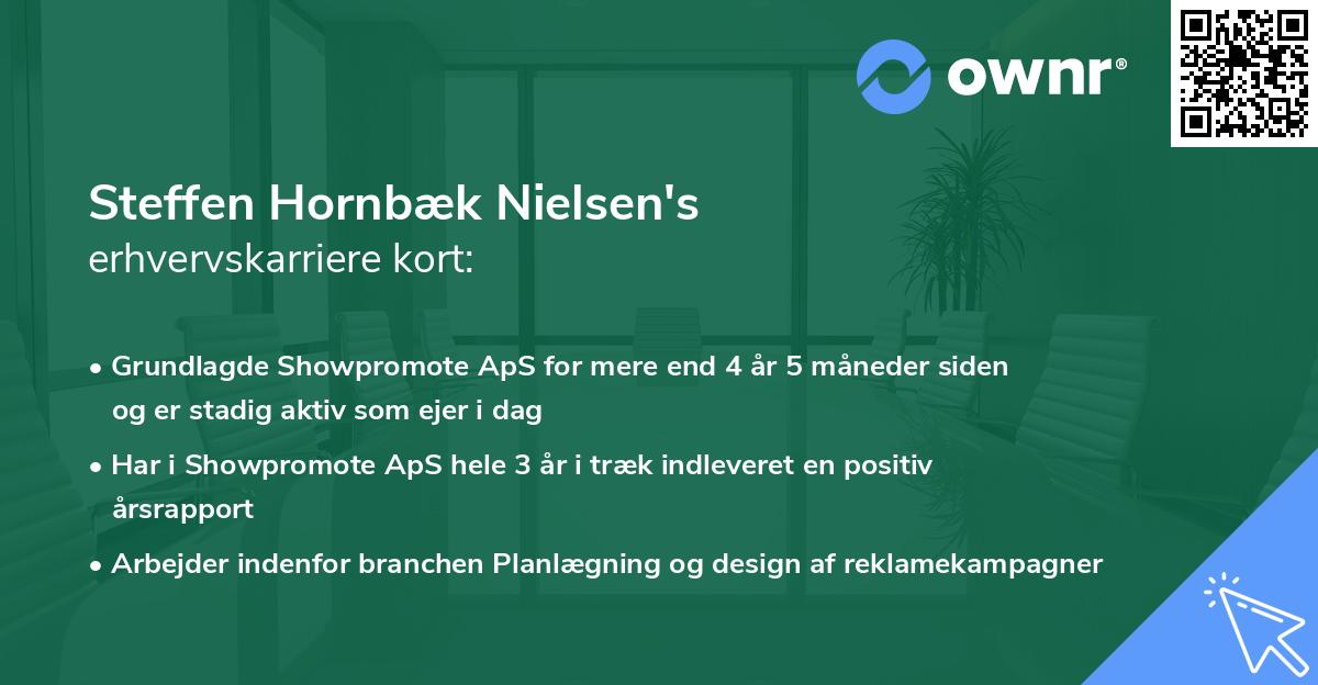 Steffen Hornbæk Nielsen's erhvervskarriere kort