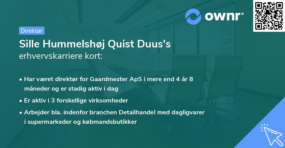 Sille Hummelshøj Quist Duus's erhvervskarriere kort