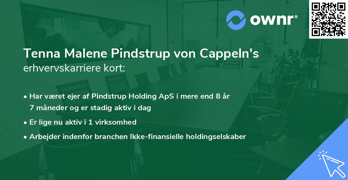 Tenna Malene Pindstrup von Cappeln's erhvervskarriere kort