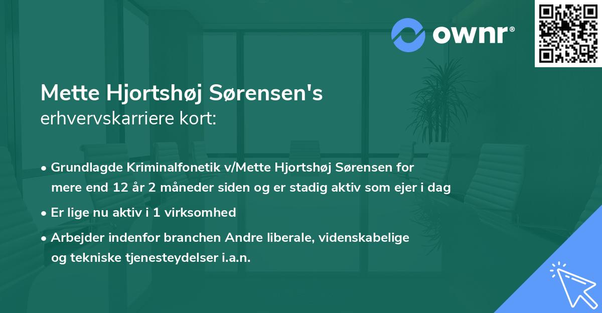 Mette Hjortshøj Sørensen's erhvervskarriere kort