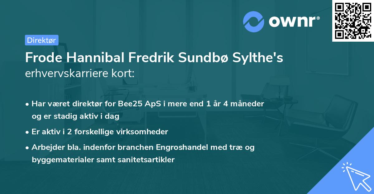 Frode Hannibal Fredrik Sundbø Sylthe's erhvervskarriere kort