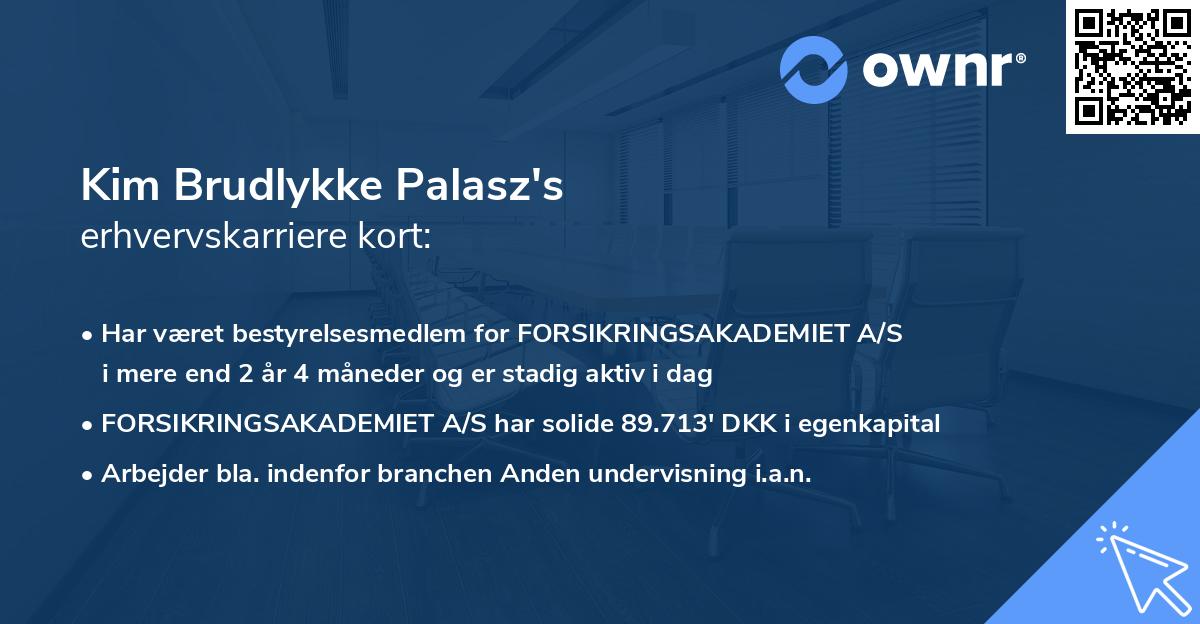 Kim Brudlykke Palasz's erhvervskarriere kort