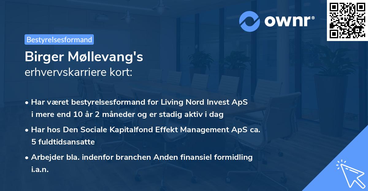 Birger Møllevang's erhvervskarriere kort