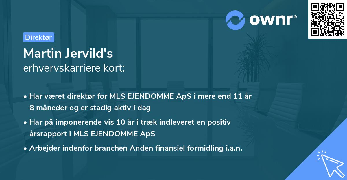 Martin Jervild's erhvervskarriere kort