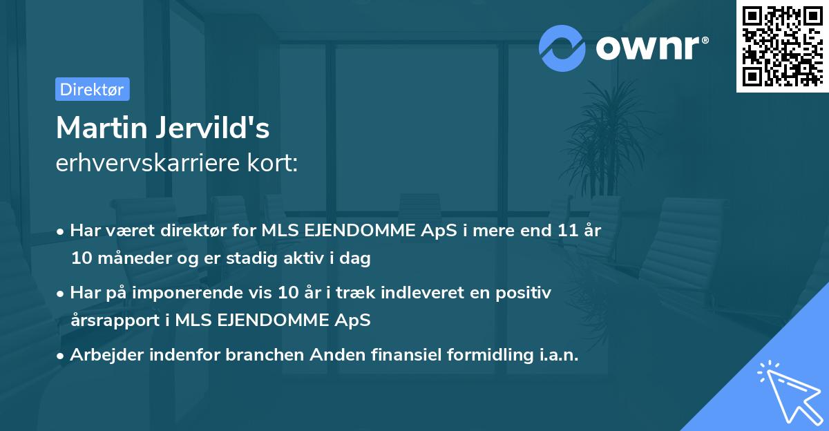 Martin Jervild's erhvervskarriere kort