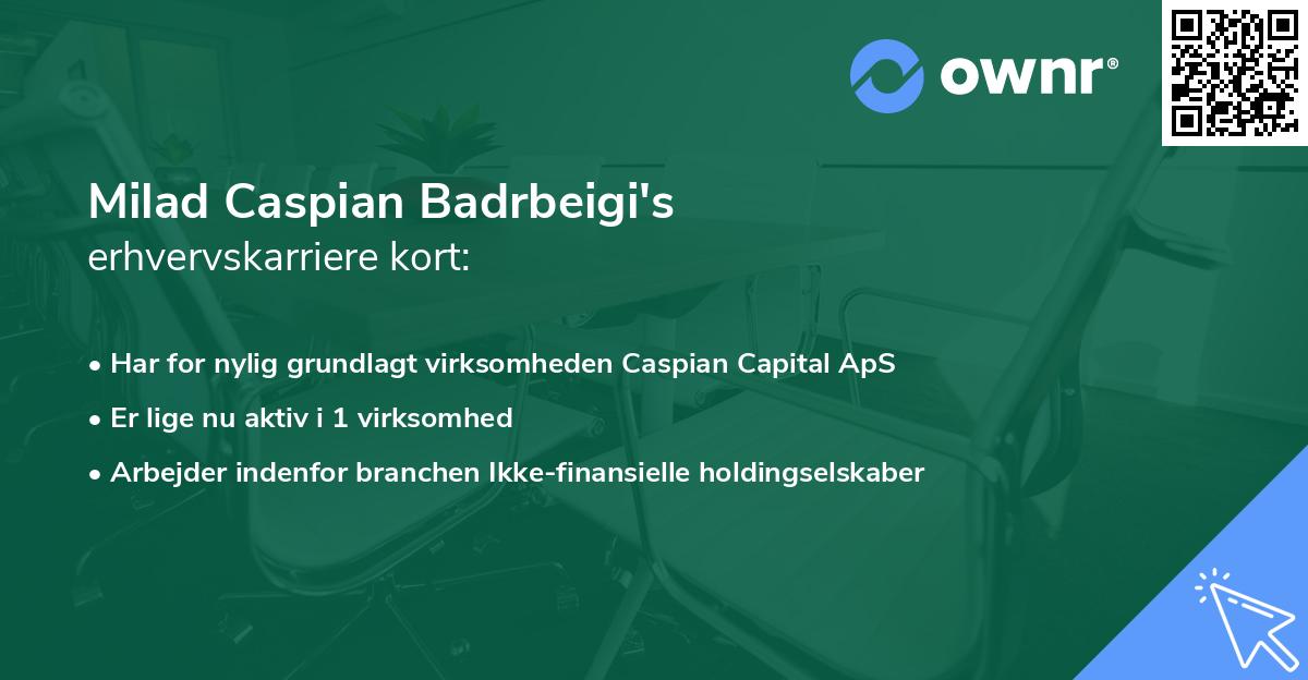 Milad Caspian Badrbeigi's erhvervskarriere kort
