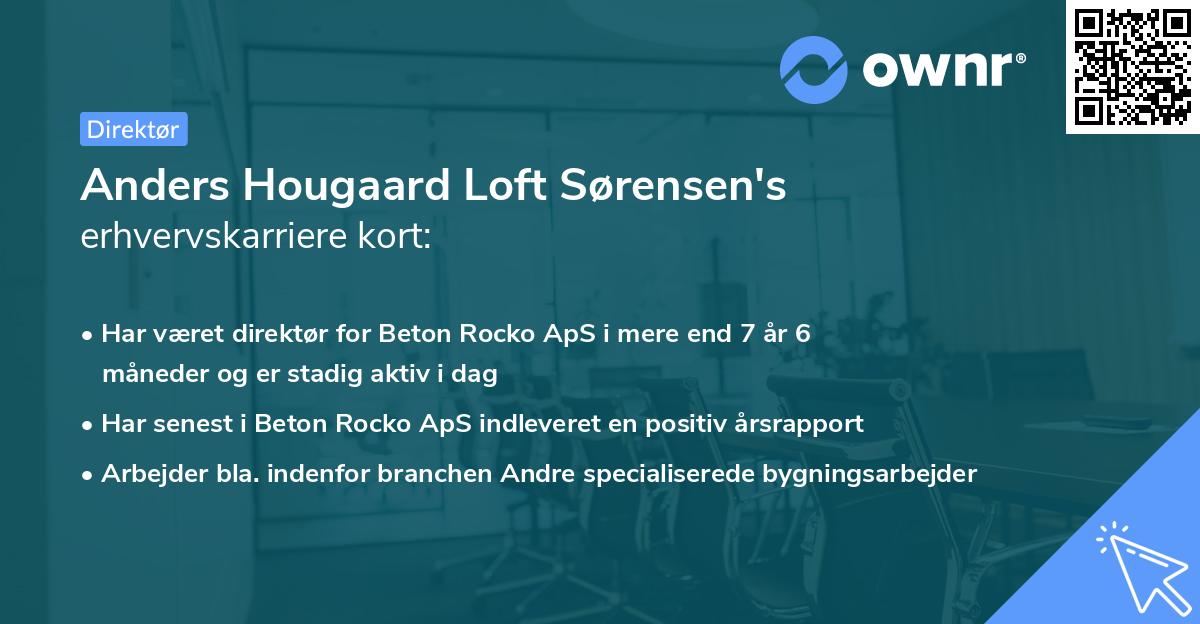 Anders Hougaard Loft Sørensen's erhvervskarriere kort