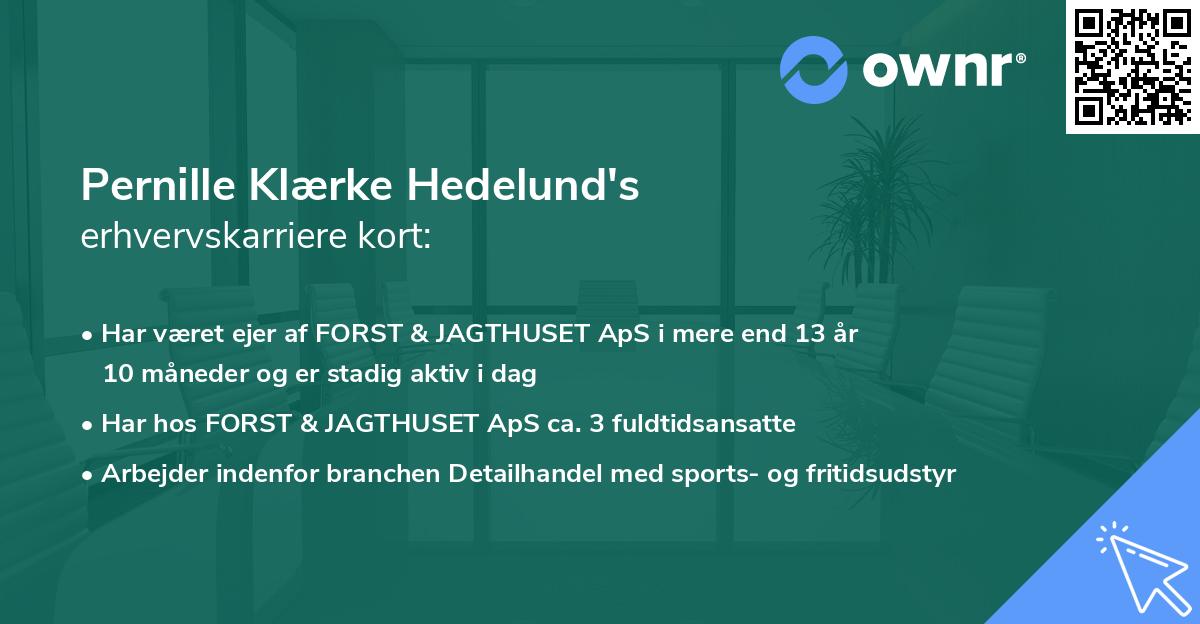 Pernille Klærke Hedelund's erhvervskarriere kort