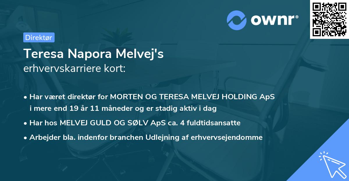 Teresa Napora Melvej's erhvervskarriere kort