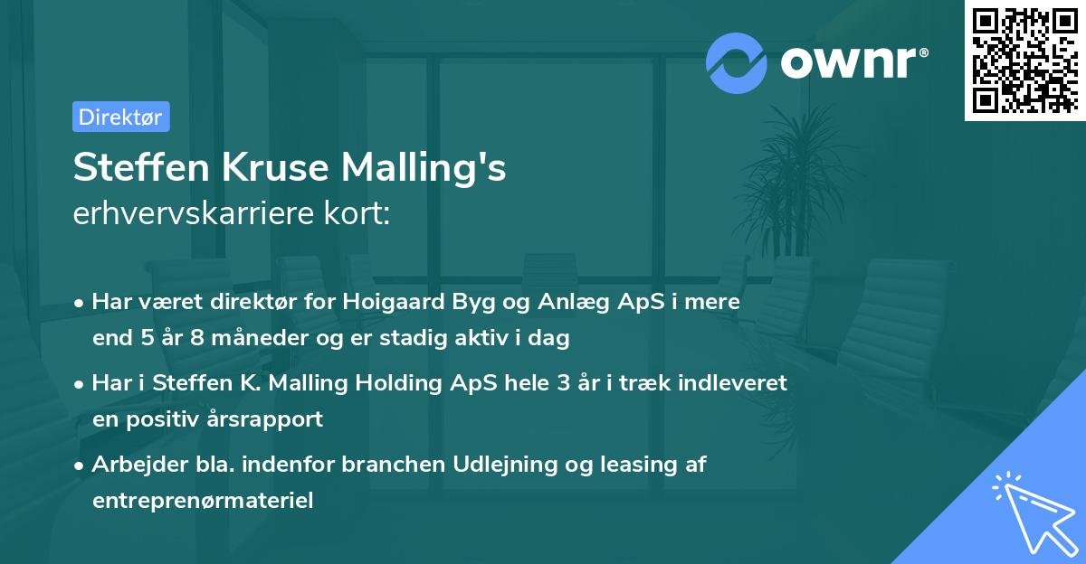 Steffen Kruse Malling's erhvervskarriere kort