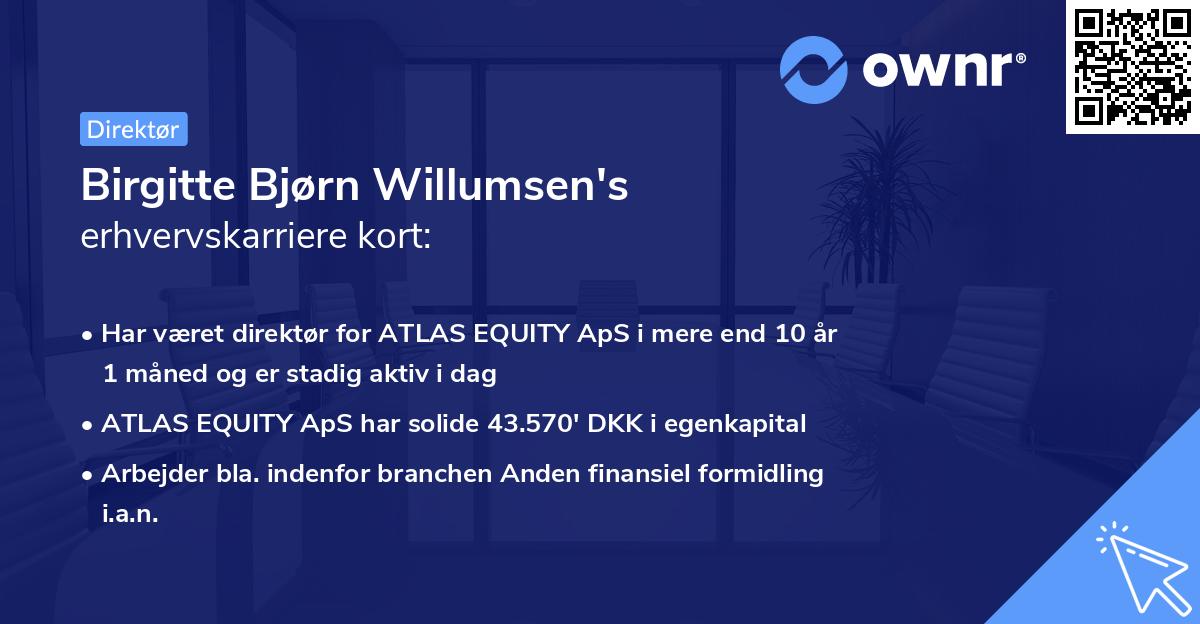 Birgitte Bjørn Willumsen's erhvervskarriere kort