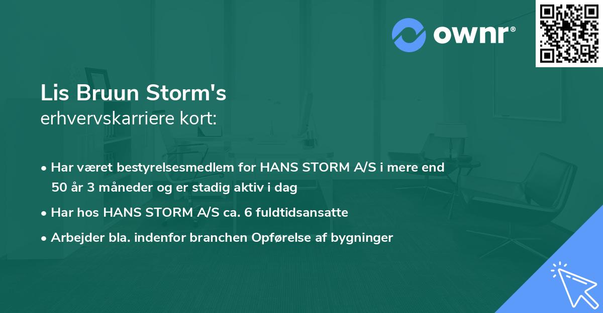 Lis Bruun Storm's erhvervskarriere kort