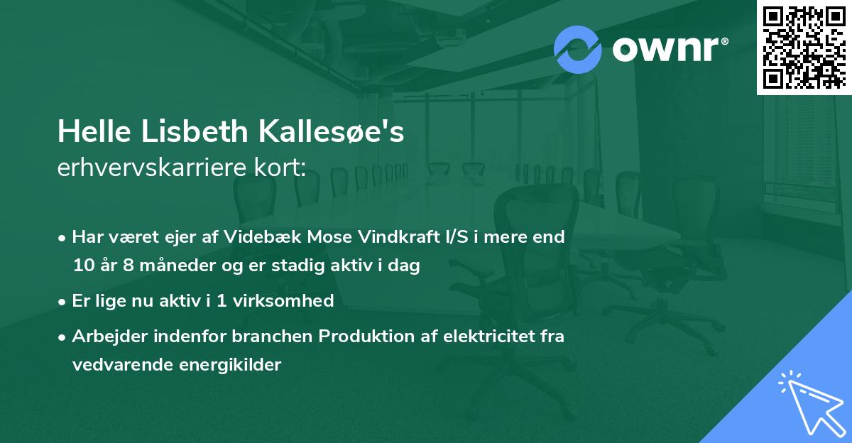 Helle Lisbeth Kallesøe's erhvervskarriere kort