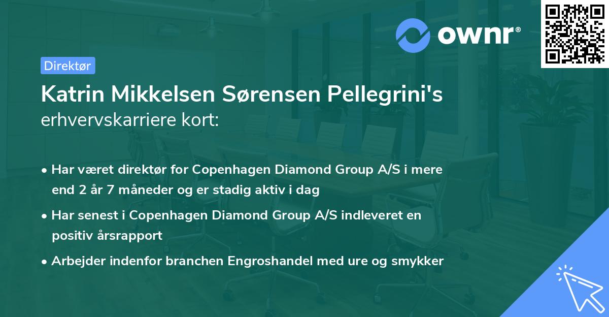 Katrin Mikkelsen Sørensen Pellegrini's erhvervskarriere kort