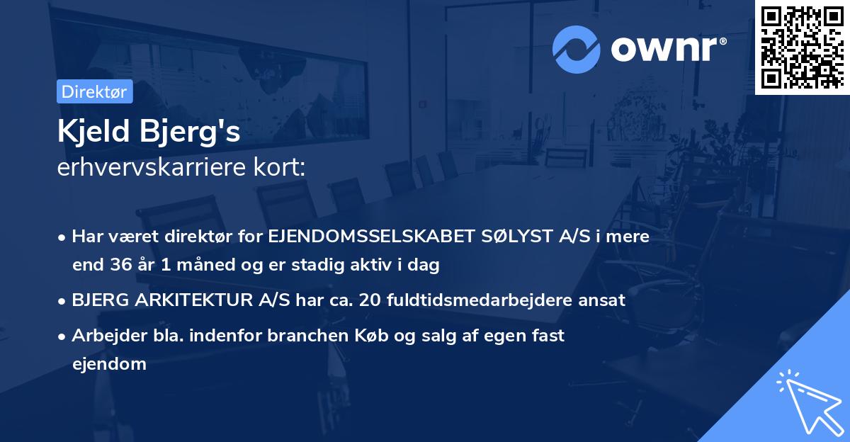 Kjeld Bjerg's erhvervskarriere kort