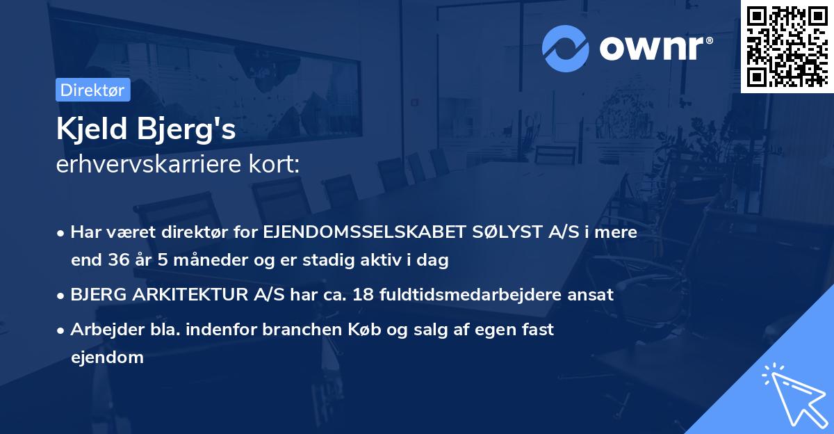 Kjeld Bjerg's erhvervskarriere kort