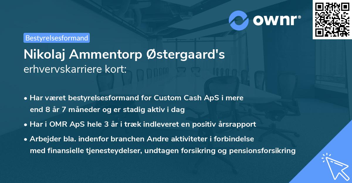 Nikolaj Ammentorp Østergaard's erhvervskarriere kort