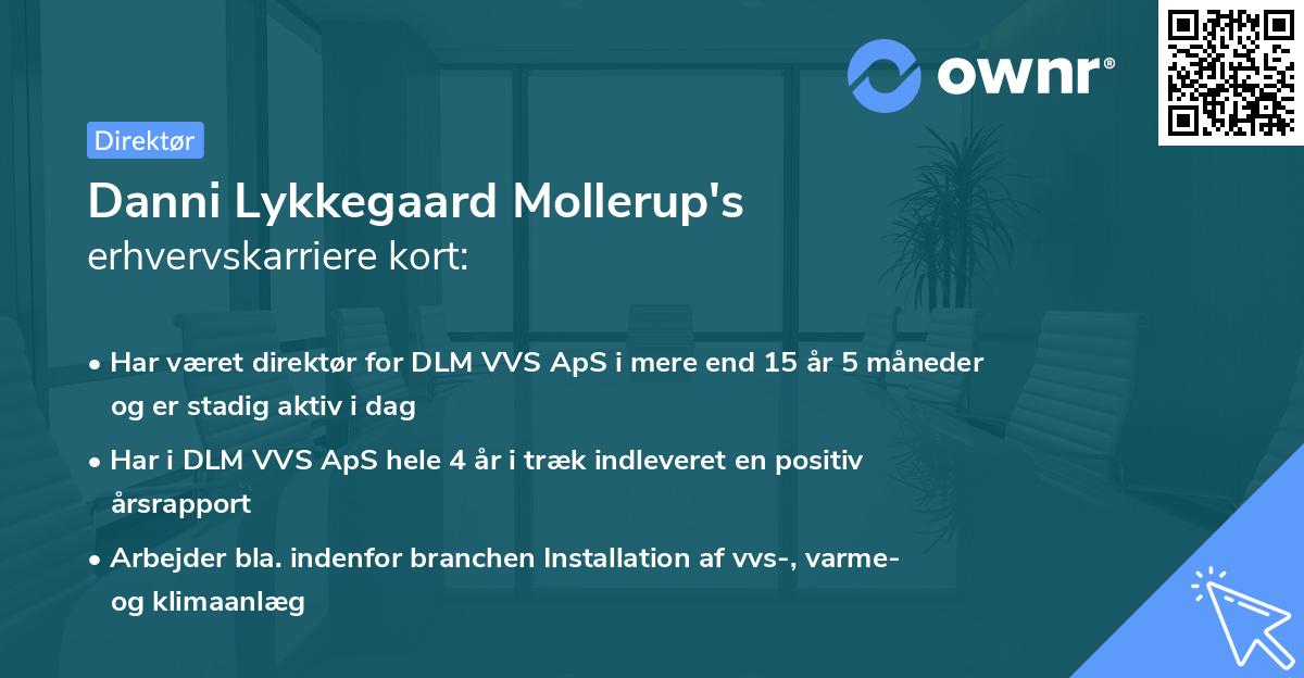 Danni Lykkegaard Mollerup's erhvervskarriere kort