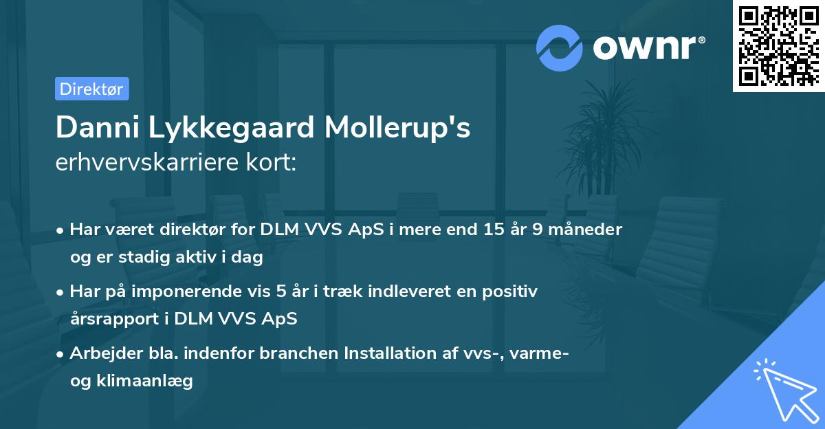 Danni Lykkegaard Mollerup's erhvervskarriere kort