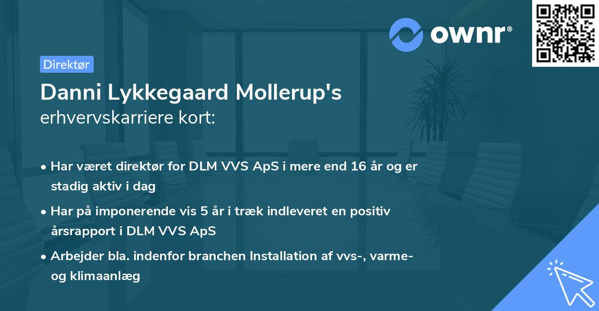 Danni Lykkegaard Mollerup's erhvervskarriere kort