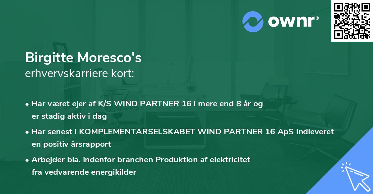 Birgitte Moresco's erhvervskarriere kort