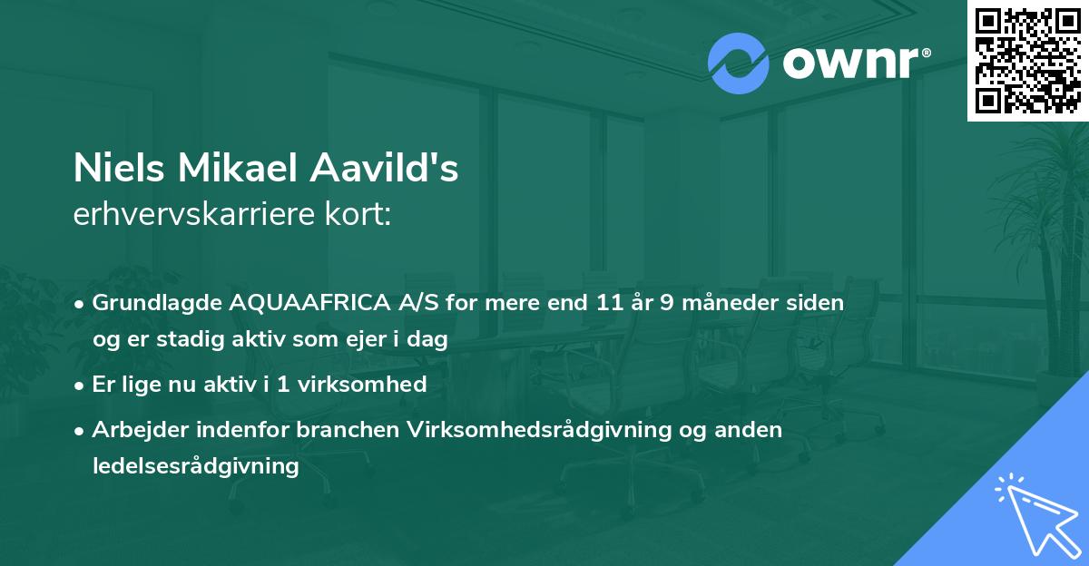 Niels Mikael Aavild's erhvervskarriere kort