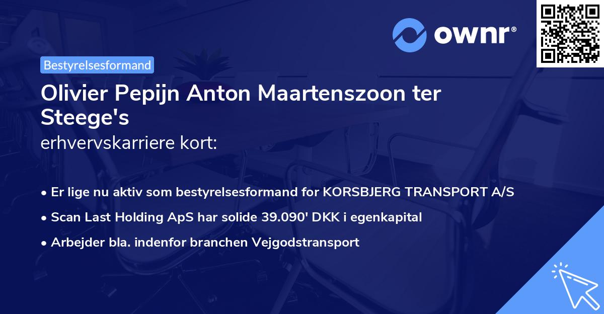 Olivier Pepijn Anton Maartenszoon ter Steege's erhvervskarriere kort