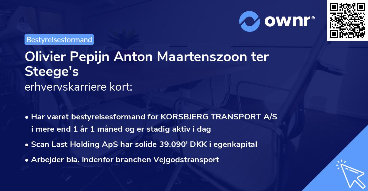 Olivier Pepijn Anton Maartenszoon ter Steege's erhvervskarriere kort