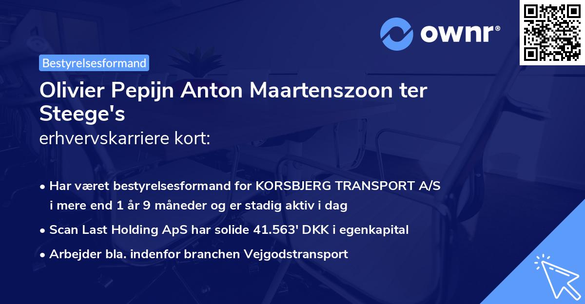 Olivier Pepijn Anton Maartenszoon ter Steege's erhvervskarriere kort