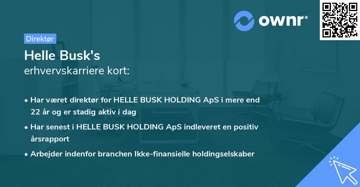 Helle Busk's erhvervskarriere kort