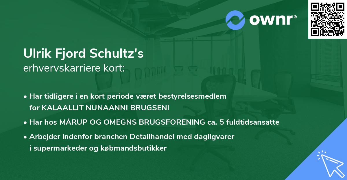 Ulrik Fjord Schultz's erhvervskarriere kort