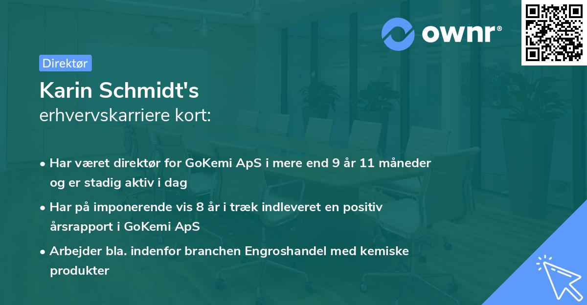 Karin Schmidt's erhvervskarriere kort