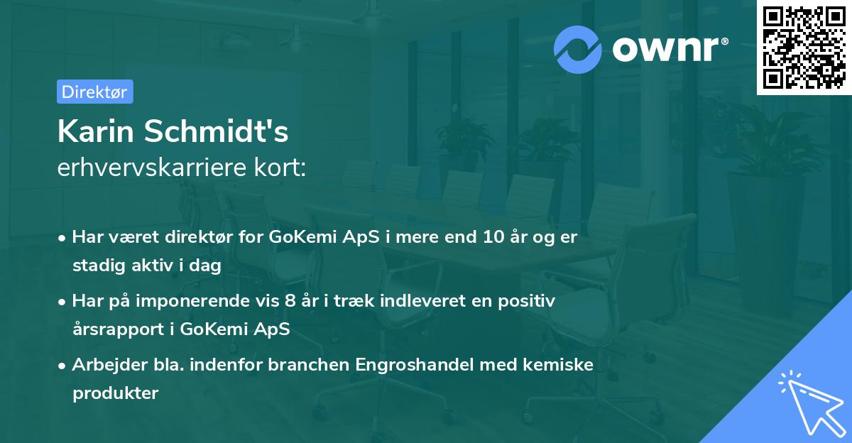 Karin Schmidt's erhvervskarriere kort