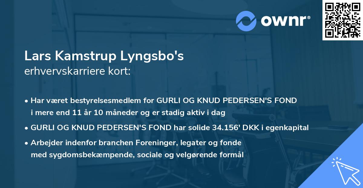 Lars Kamstrup Lyngsbo's erhvervskarriere kort