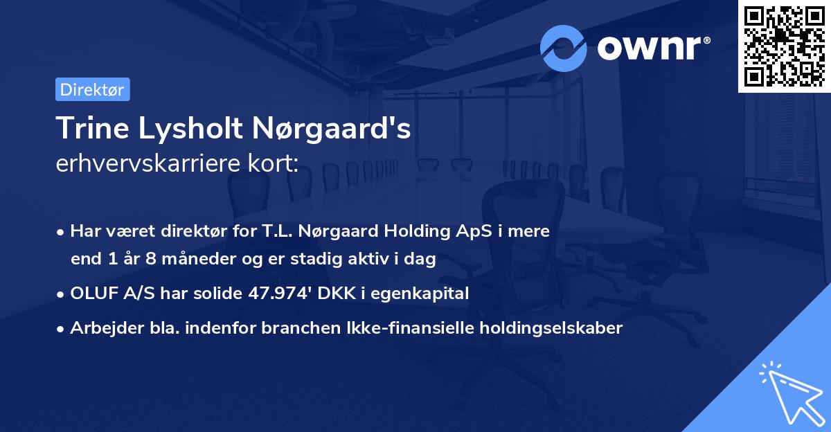 Trine Lysholt Nørgaard's erhvervskarriere kort