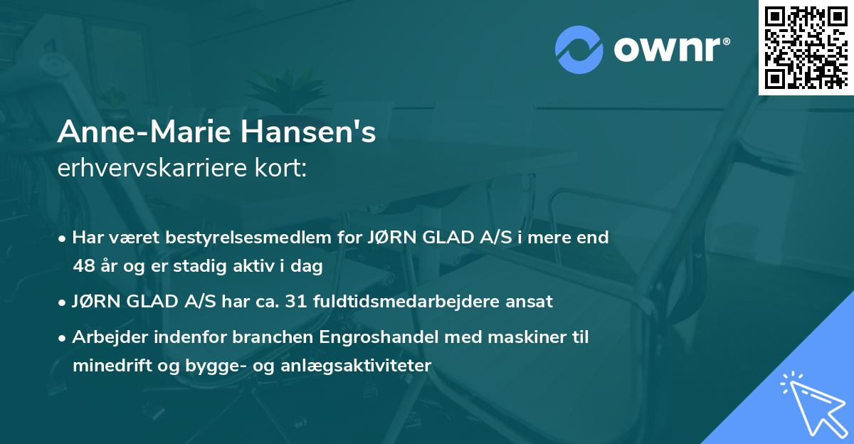 Anne-Marie Hansen's erhvervskarriere kort
