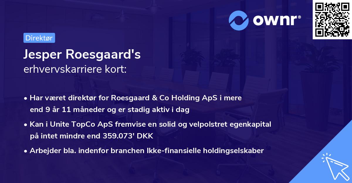 Jesper Roesgaard's erhvervskarriere kort