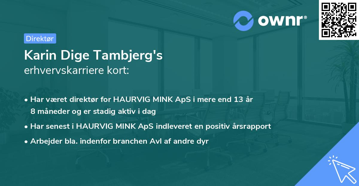 Karin Dige Tambjerg's erhvervskarriere kort