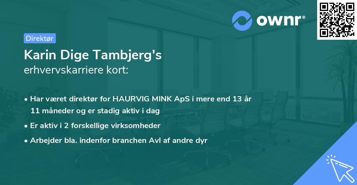 Karin Dige Tambjerg's erhvervskarriere kort