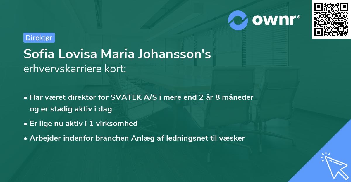 Sofia Lovisa Maria Johansson's erhvervskarriere kort