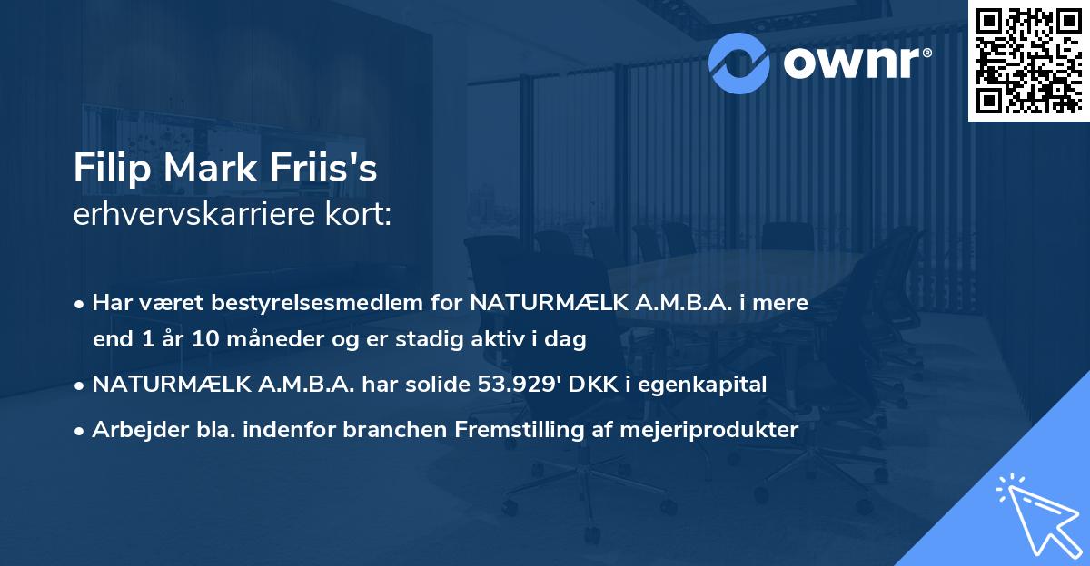 Filip Mark Friis's erhvervskarriere kort