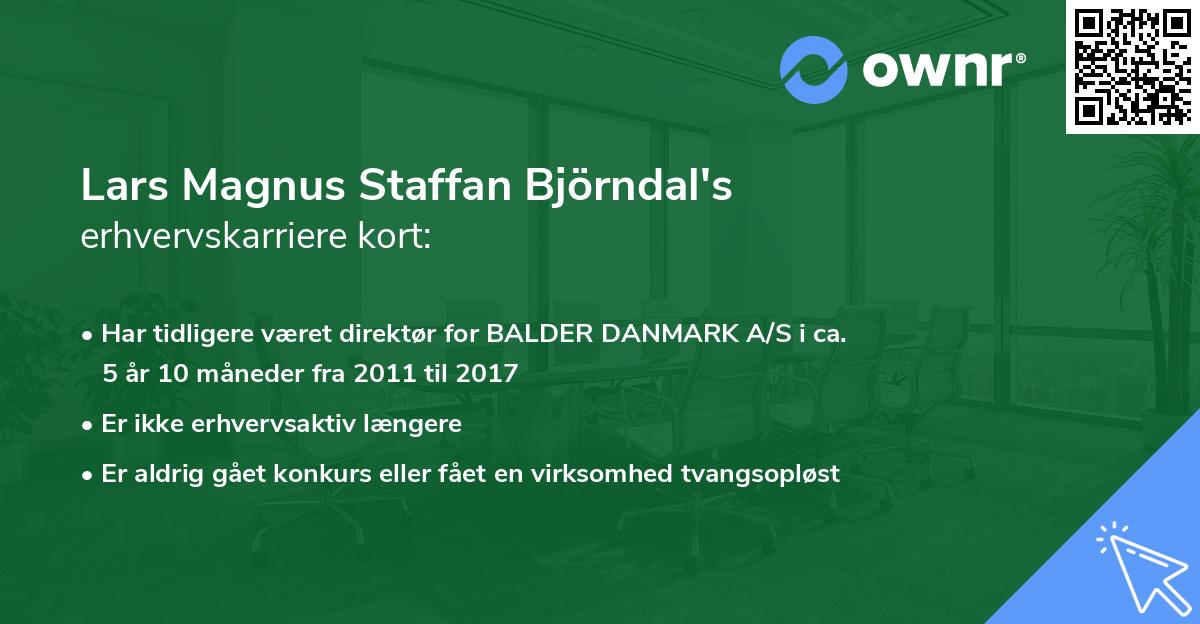 Lars Magnus Staffan Björndal's erhvervskarriere kort