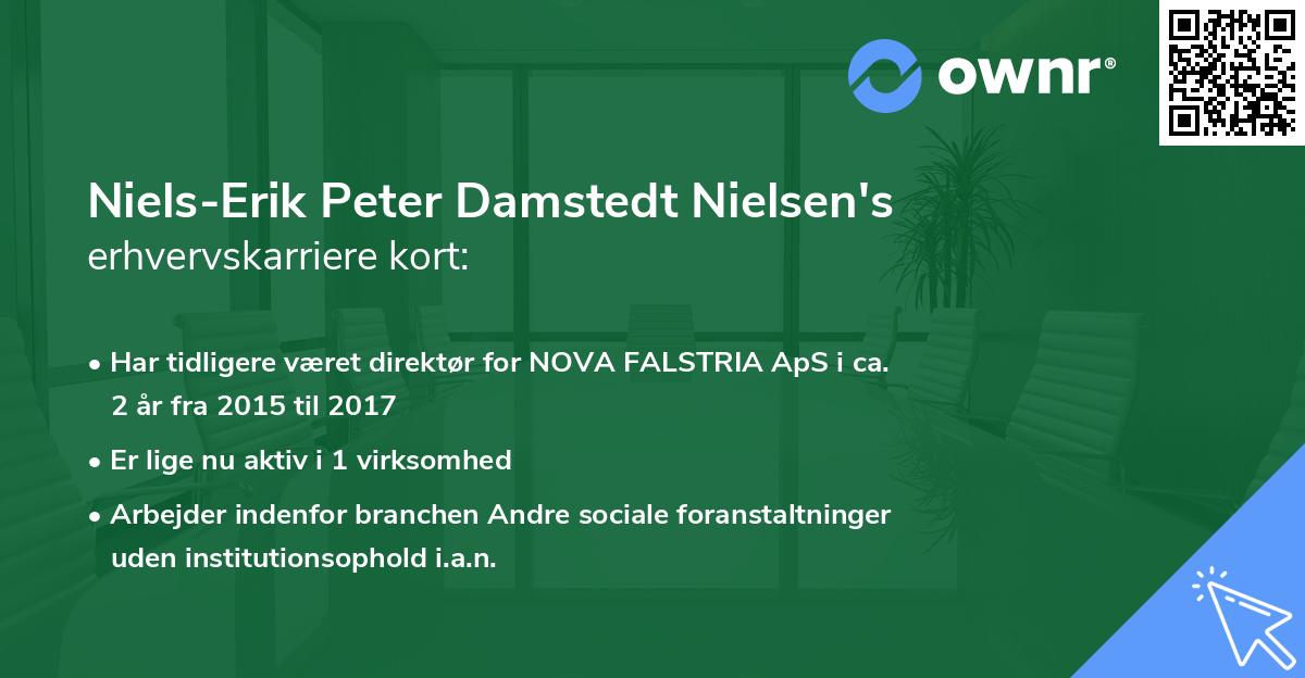 Niels-Erik Peter Damstedt Nielsen's erhvervskarriere kort