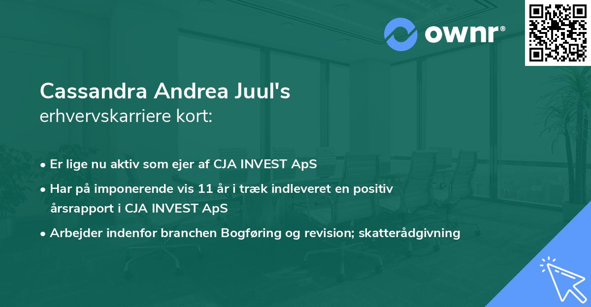 Cassandra Andrea Juul's erhvervskarriere kort