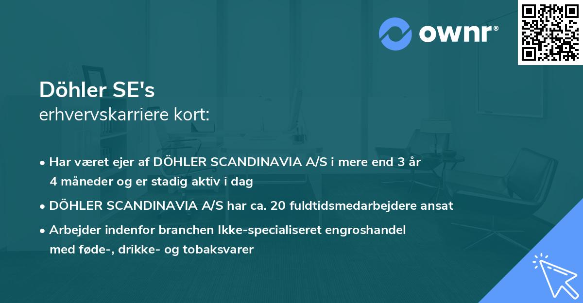 Döhler SE's erhvervskarriere kort