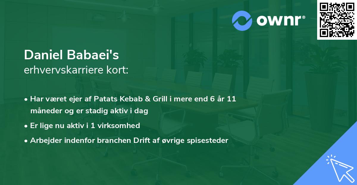 Daniel Babaei's erhvervskarriere kort